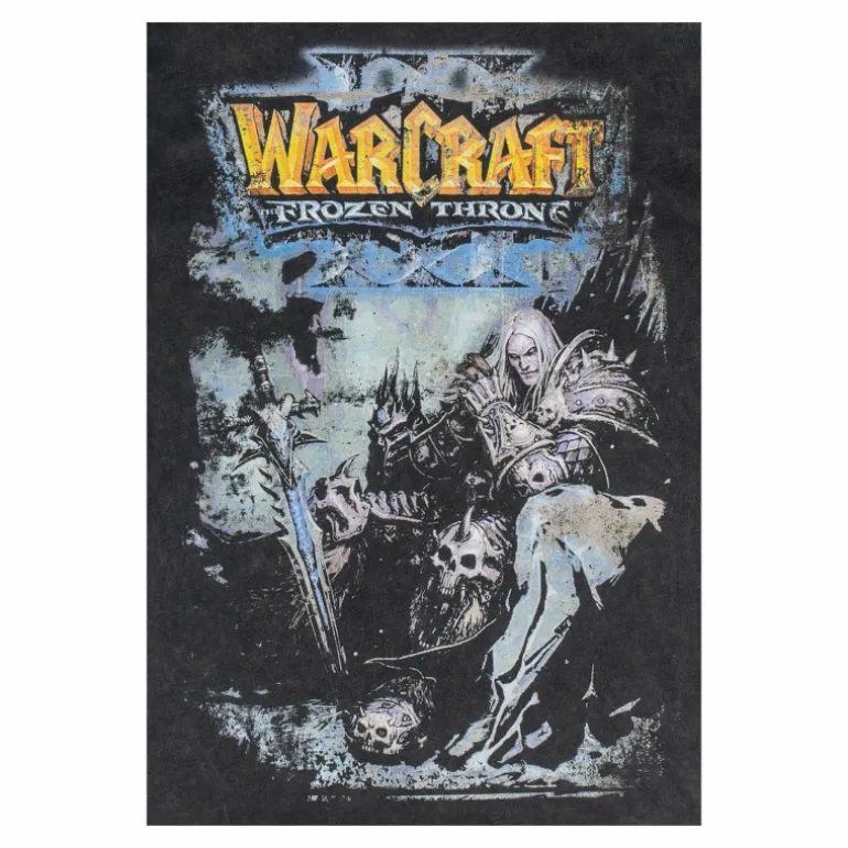 Culture Studio Warcraft Frozen Throne Grey T-Shirt